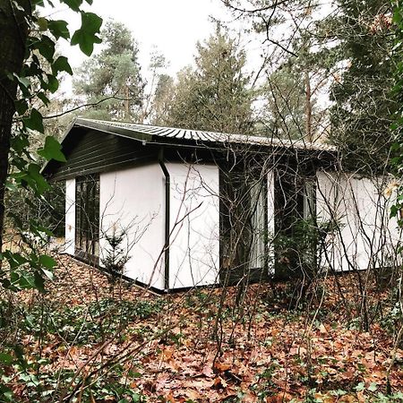 Www Huis Op De Veluwe Nl 宁斯佩特 外观 照片