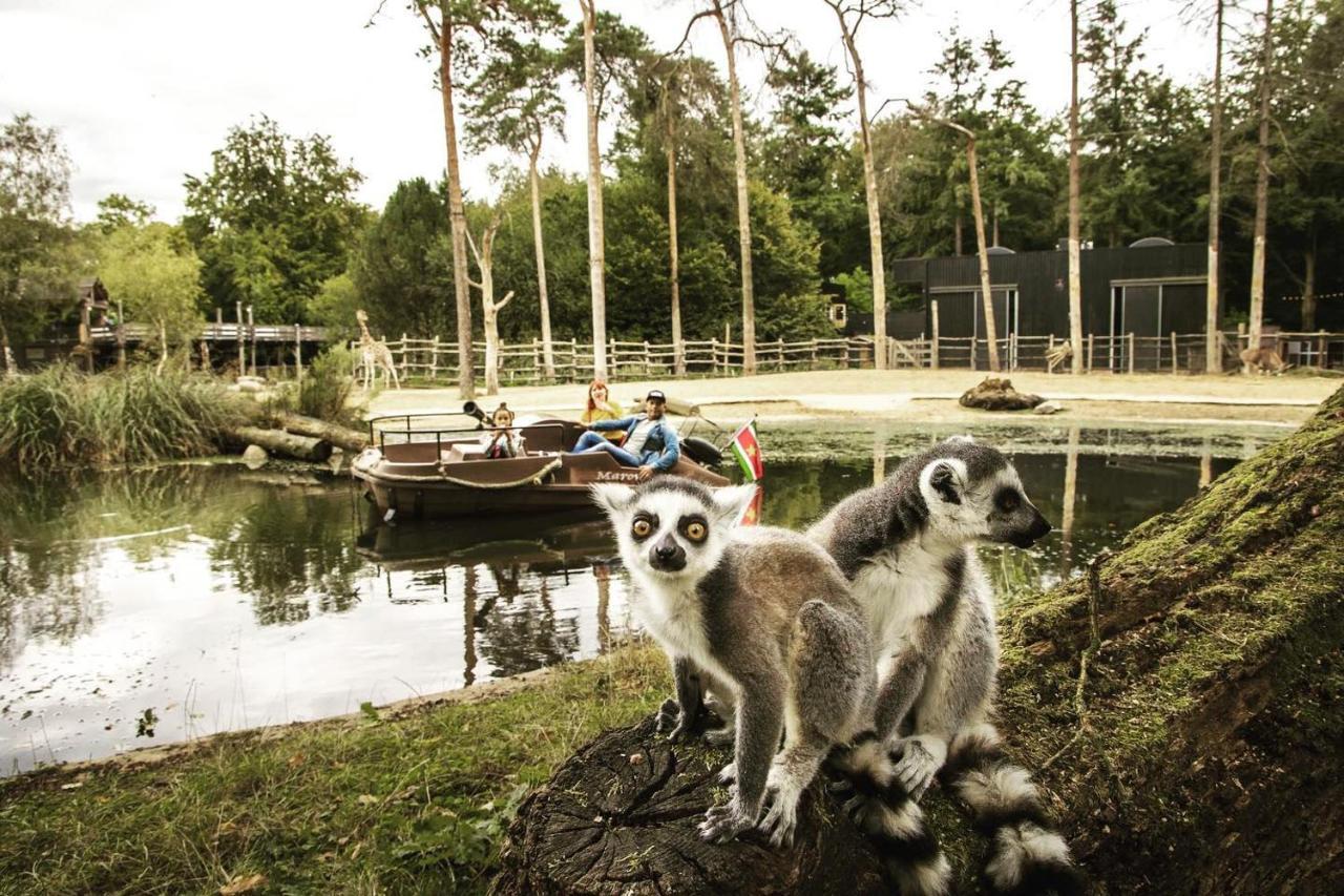 Www Huis Op De Veluwe Nl 宁斯佩特 外观 照片