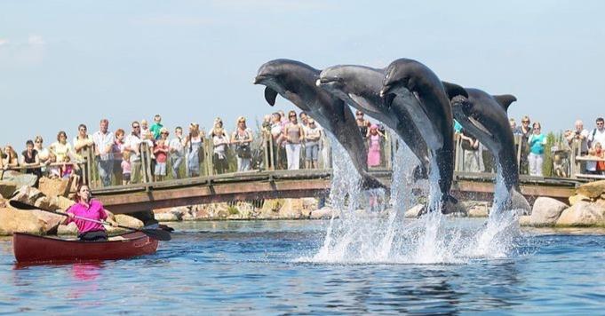 Www Huis Op De Veluwe Nl 宁斯佩特 外观 照片