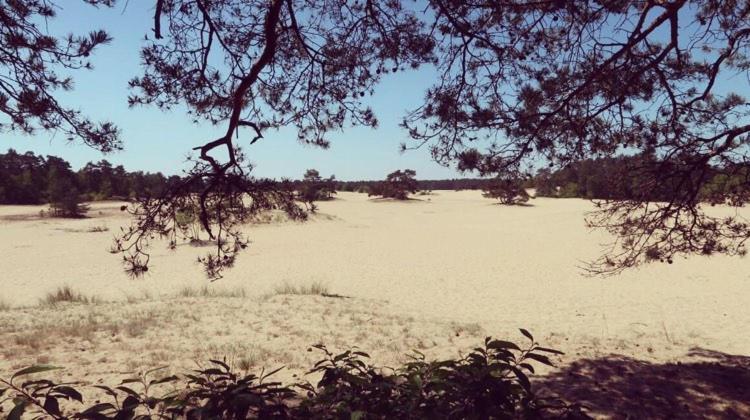 Www Huis Op De Veluwe Nl 宁斯佩特 外观 照片