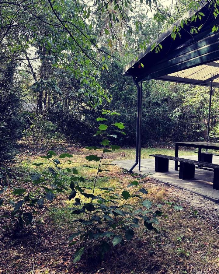 Www Huis Op De Veluwe Nl 宁斯佩特 外观 照片