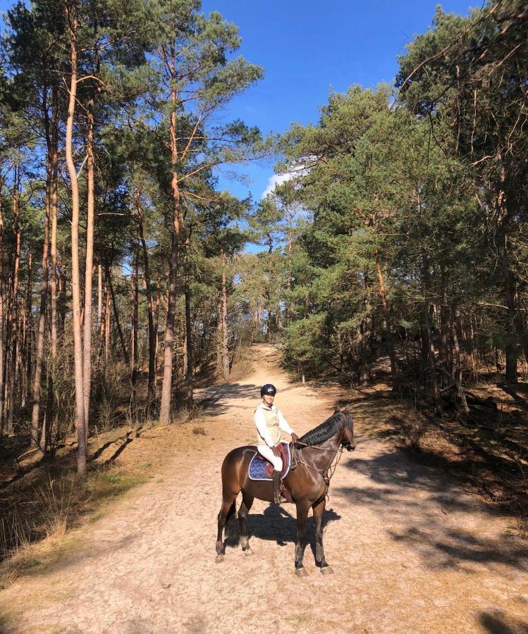 Www Huis Op De Veluwe Nl 宁斯佩特 外观 照片