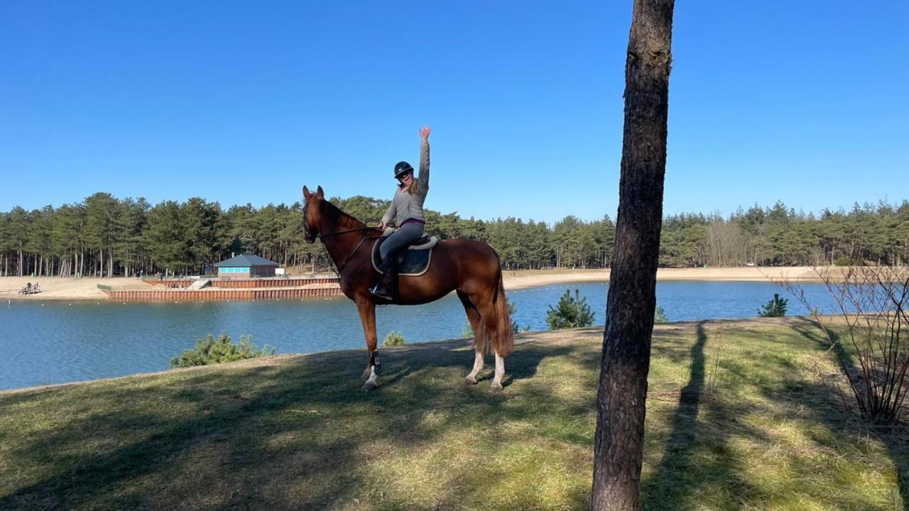 Www Huis Op De Veluwe Nl 宁斯佩特 外观 照片