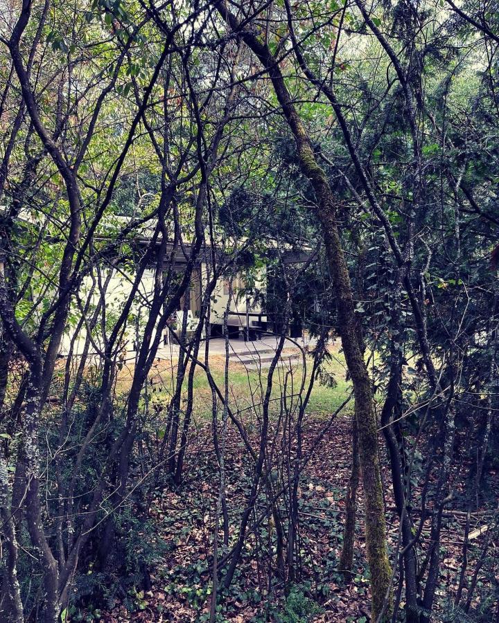 Www Huis Op De Veluwe Nl 宁斯佩特 外观 照片